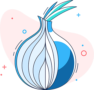 Réseau Tor contre réseau VPN: lequel est le plus avantageux
